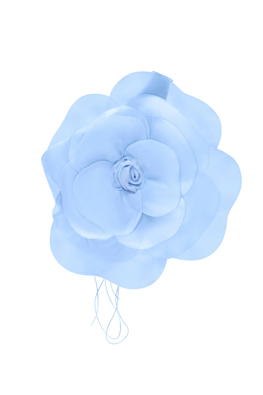 Top Camellia, modrý, (J’amemme) J0015