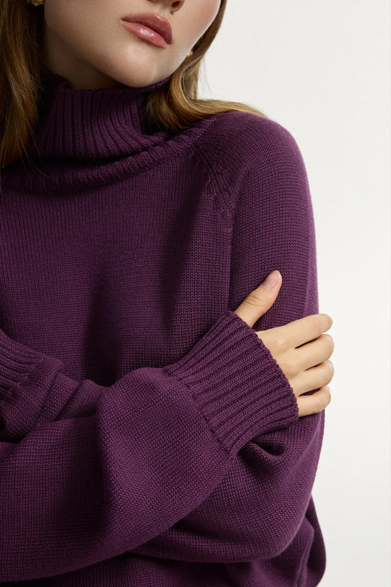 Светр із сливовим коміром (Сарна), SA041A