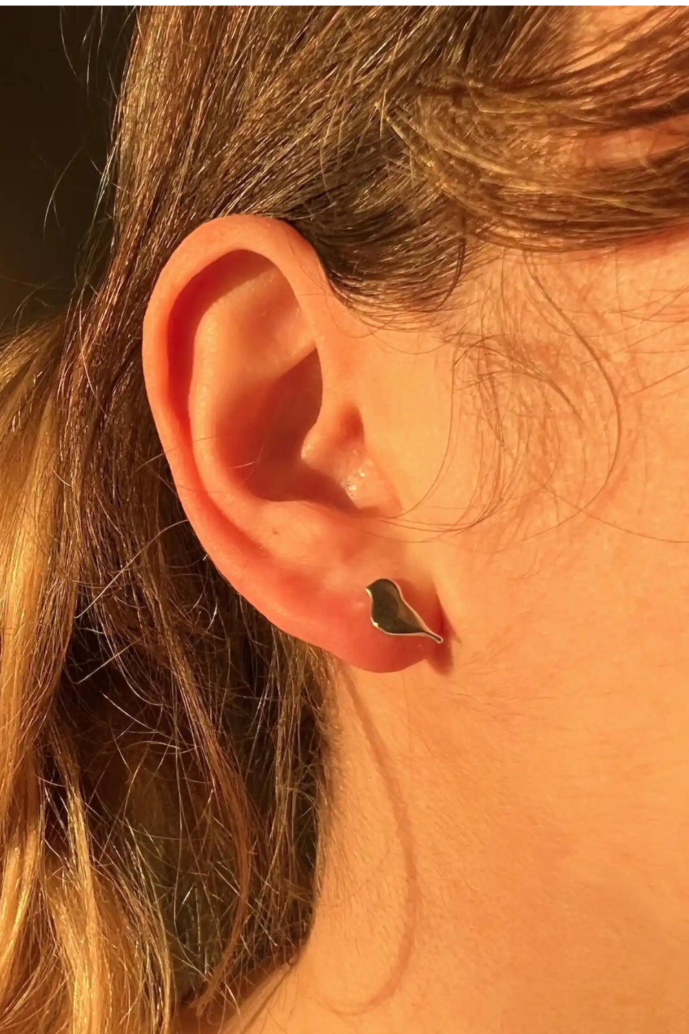 Náušnice stříbrné puzety Ptáčci (SilveAmo), C21150