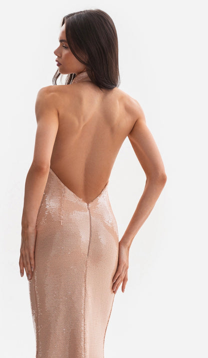 Šaty SHIMMER - večerní, dlouhé flitrované šaty s odhalenými zády (LE GRETES) , DR05S25